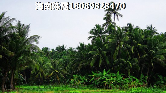 香水湾1号有什么缺点？