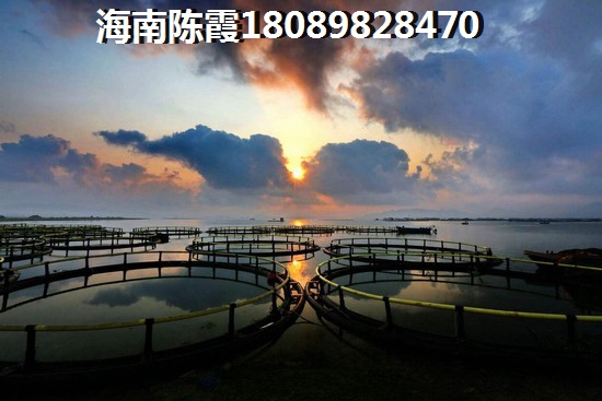海南醉具性价比新房