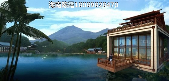 touzi海南陵水楼盘有价纸吗？