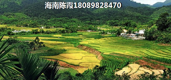 2025陵水县房价会跌吗?绿城蓝湾小镇与海航国兴城房价哪个涨了?